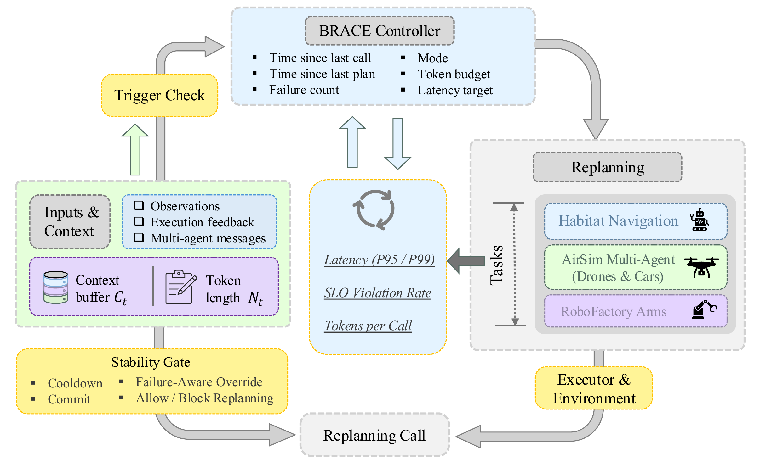 BRACE workflow overview